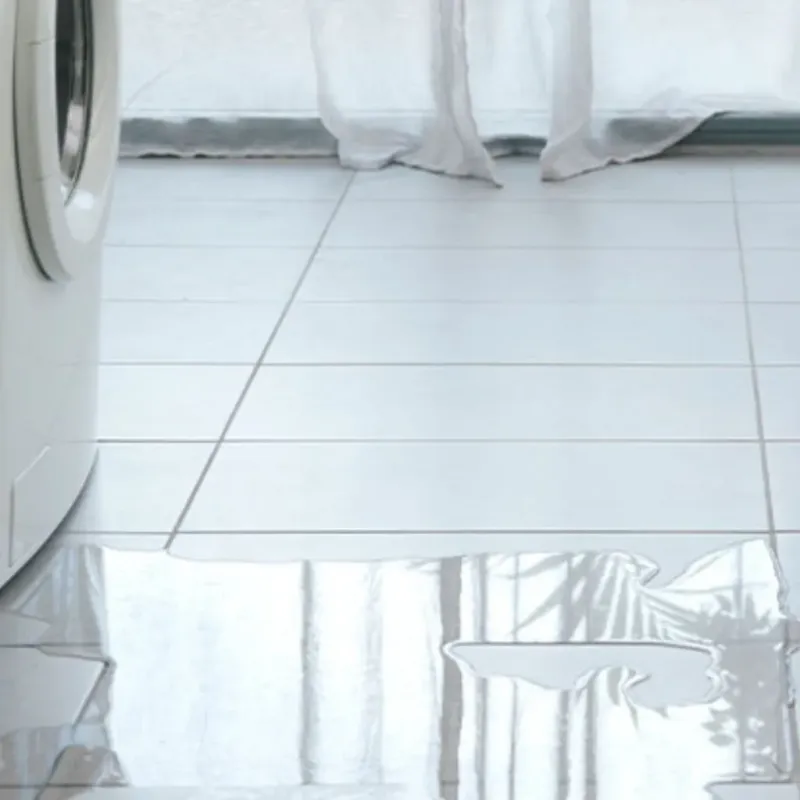 Appliance Leak Cleanup in Erie, CO